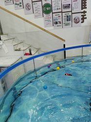 -雏芽婴幼儿游泳·小美医生小儿推拿(西村店)