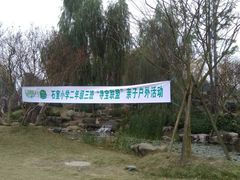 -秀丽东方