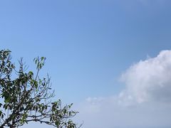 -海南铜鼓岭景区