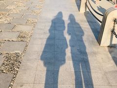 -深圳湾公园(南山区)