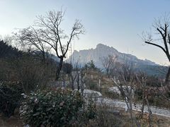 -崂山仰口游览区