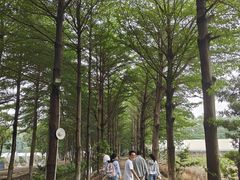 -新塘水果乐园(东洲大道店)