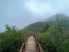 -大岭沟猕猴桃谷风景区