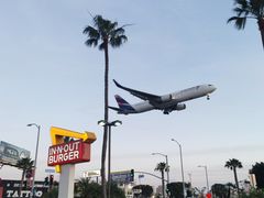 -In-N-Out Burger(LAX)