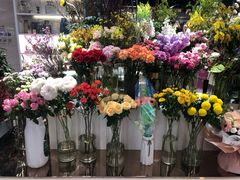 -双燕楼(韶山路店)