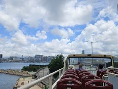 -Big Bus Tours 敞篷观光巴士
