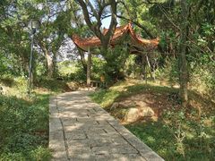 -青芝山风景名胜区