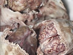 -洪记白水羊头(天坛店)