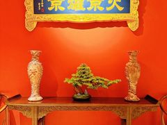 -京炉烤鸭·新京菜·庭院餐厅(大东方·欢乐谷店)
