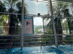 -厦门邮轮中心厦鼓码头(轮渡站)