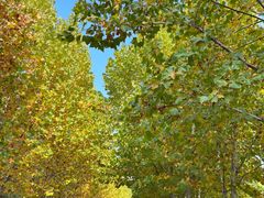 -石家庄市动物园