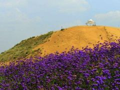 -宁夏中卫寺口旅游区(苏武牧羊遗址)
