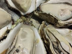 -蚝堡海鲜·威海菜·海肠捞饭·烧烤·亚洲吃蚝公司(幸福门店)