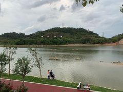 -鹤之洲湿地公园