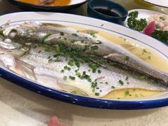 清蒸鲜白鱼-锡和无锡菜(景丽苑店)