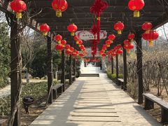 -白马涧龙池景区