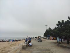 -日照海滨国家森林公园