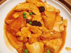羊肚菌焖河源豆腐-大鸽饭(体育西路店)