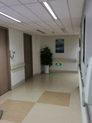 -杭州贝瑞斯美华妇儿医院·早孕·产检·儿科