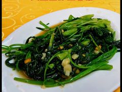 -正宗波记潮州砂锅粥(新洲一街店)