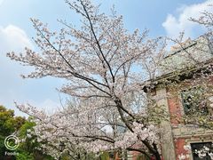 -梦菲思饼屋(瑞金宾馆店)