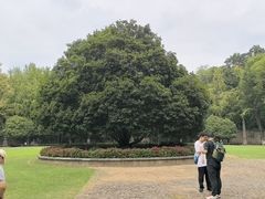 -灵谷景区