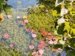 -雅达·阳羡溪山小镇中心