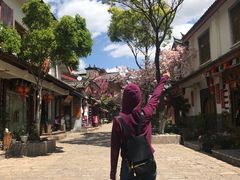 -田德能咖啡博物馆