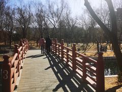 -元大都城垣遗址公园