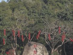 -野狸岛