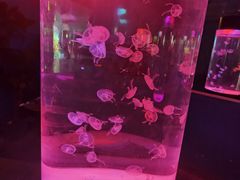 -苏州海洋馆