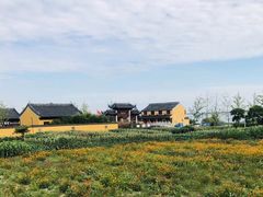 -阳澄湖半岛旅游度假区