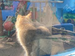 -青藏高原野生动物园