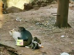 -昆明动物园
