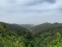-金龙寺国家森林公园