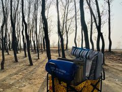 -野鸭湖国家湿地公园