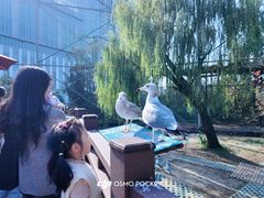 -杭州野生动物世界