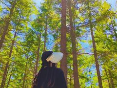 -塞罕坝国家级自然保护区