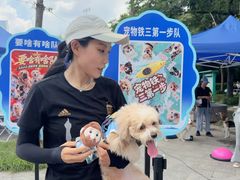 -南翔镇银翔湖公园