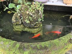 -海窝子古镇