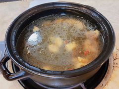 -蘑统田下·野生菌火锅