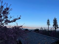 -天龙八部武侠城