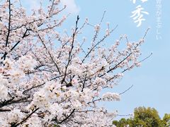 -堤角公园