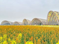 -中国天府农业博览园