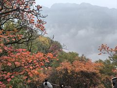 -秦岭终南山世界地质公园翠华山景区