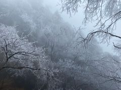 -洛阳白云山景区