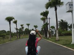 -瑶湖郊野森林公园