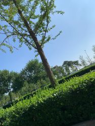 -HEYAN长风荷妍专业脱毛美肤
