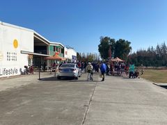 -前小桔亲子创意农场·草莓采摘·露营烧烤