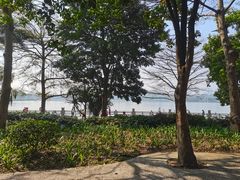 -海珠湖公园